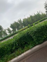 -HEYAN长风荷妍专业脱毛美肤
