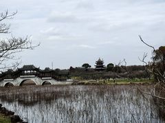 景点-上海海湾国家森林公园