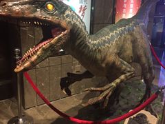 -武商摩尔影城(国广IMAX激光店)