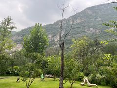 -幽岚山·童话森林