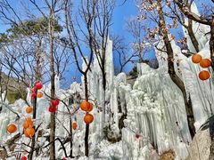 -沂蒙山旅游区云蒙景区(蒙山国家森林公园)