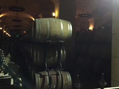 -北京张裕爱斐堡酒庄