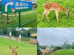 -盈香心动乐园