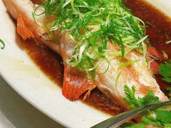 -广东名门