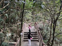 -海南热带雨林国家公园吊罗山景区