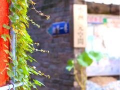 环境-小洲村