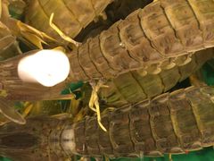 -浪琴湾尾角仔海鲜坊