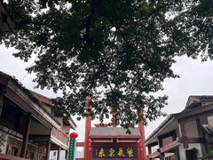 -磁器口古镇