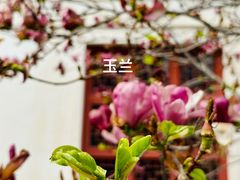 -香山公园