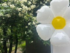 -四川大学(望江校区)