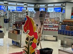 -胡志明新山一国际机场