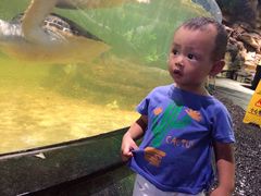 -江和美海洋公园