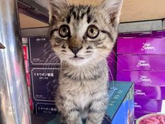 -忆相生活照相馆(苏州中心店)