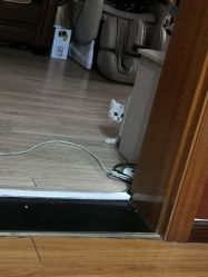 -小部落•刺青•穿孔饰品•海娜纹身