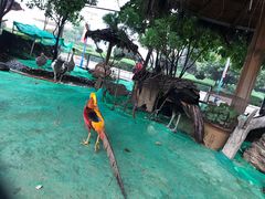 -陕西自然博物馆