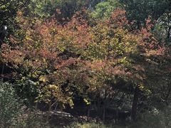 -南京市江宁方山