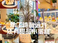 -MONANA蛋糕研究所