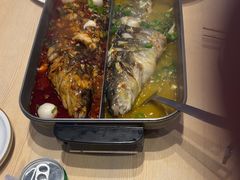 -鱼酷活鱼烤鱼(沈阳大悦城店)