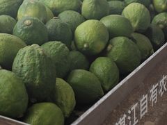 -introlemons(北京西单更新场店)