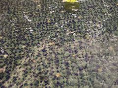 -极乐汇汗蒸会馆(杭州店)