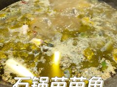 -石锅苗苗鱼(武汉首店)