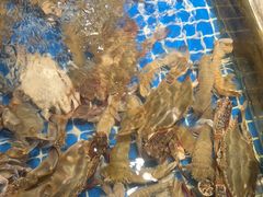 -小时候焗海鲜(鄞州万达店)