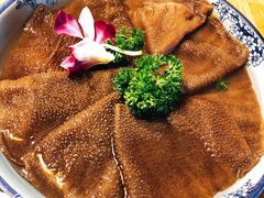 大侠水牛毛肚-蜀大侠火锅(寰球文化地标·总府店)