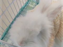 -怪兽屋·羊驼·猫咖·狗咖(俊华广场店)