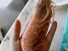 阿根廷红虾-喜庭海鲜自助(来福士店)