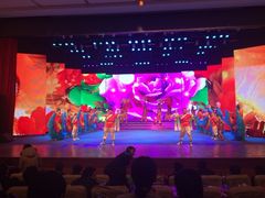 南风大剧院莎梦二人转剧场-南风大剧院莎梦二人转剧场