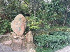 -江心屿景区