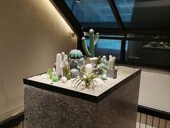 -大树餐厅(红旗街万达店)