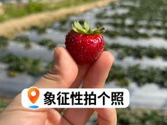 -凤岗南门山森林公园