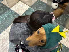 -博特宠物医院24h犬猫全科.骨科·异宠