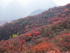 -水峪民俗村