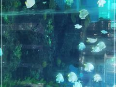 -鸿通城购物中心