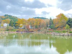 -四明山国家森林公园