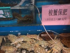 -中苑海韵