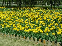 -长春公园(普阳街道)