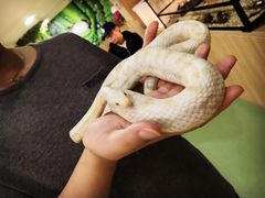 -藦茜花园宠物主题亲子互动体验馆(国顺东路店)