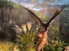 -湖南省地质博物馆