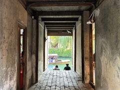 -乌镇景区