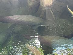 -青青世界