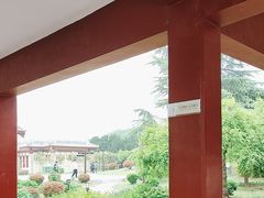 -洛阳古墓博物馆
