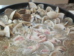 -顺德哥卜卜贝(旗舰店)
