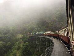 -热带雨林自然公园