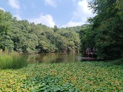 -天目湖山水园