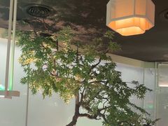 -绿茶餐厅(广州天河城店)