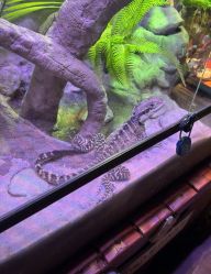 -酷嗒动物文化乐园(cutezoo西溪乐天城店)