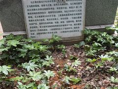 -马王堆汉墓遗址